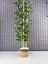 Dekoratif Yapay Yapraklı Hasır Sea Grass/koton Saksılı 3 Gövde Bambu Ağacı 90 cm 1