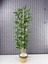 Dekoratif Yapay Yapraklı Hasır Sea Grass/koton Saksılı 3 Gövde Bambu Ağacı 90 cm 2