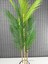 Dekoratif Yapay Yapraklı Hasır Sea Grass/ Koton Saksılı Areka Palmiye Ağacı 3 Gövde 120CM 2