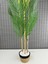 Dekoratif Yapay Yapraklı Hasır Sea Grass/ Koton Saksılı Areka Palmiye Ağacı 3 Gövde 120CM 5