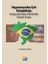 Hegemonyadan Çok Kutupluluğa Brezilya'nın Güney Amerika'daki Otonomi Arayışı 1