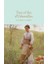 Tess Of The D'urbervilles (Macmillan Collector's Library) (Ciltli) 1