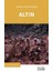 Altın 1