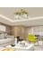 UltraNova 4'lü Eskitme Modern Kristal Salon Avizesi, Metal, 4 Başlık 2