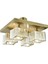 UltraNova 4'lü Eskitme Modern Kristal Salon Avizesi, Metal, 4 Başlık 4