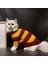 Kedi ve Köpek Için Sarı Kırmızı Çizgili Galatasaray Taraftar Kazak 4