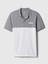 Erkek Gri Gap Logo Colorblock Pique Polo Yaka T-Shirt 2