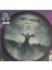 Black Sabbath - Paris 1970 Plak ( Picture Disc, Renkli Plak),l 1