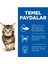 Okyanus Balıklı Pouch Yavru Kedi Maması 85GR - 24 Adet 4