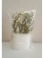 Dahil,vazo Dahil,vazoda Çiçek,beyaz Yapay Çiçek,vazo Dekoratif Deniz Taşı El Yapımı 10X5X14CM 3