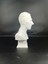 Nikola Tesla 3D Model 4