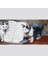 Kediler ve Nota Defteri Kanvas Tablo 60 x 120 2