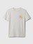 Erkek Çocuk Gri Grafikli T-Shirt 1
