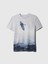 Erkek Çocuk Gri Grafikli T-Shirt 1