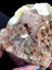 Elite Nadir Doğal Baykuş Gözü Dendritik Opal Jeot Eşsiz Koleksiyonluk Dekor Ham Mineral Menşei Bilecik 1 Adet 5