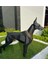 Elite Doberman Heykeli Metal 3 Boyutlu Büyük Boy Yer Dekoru Siyah 1 Adet 1