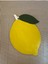Elite Supla Limon Model Mutfak Dekorasyon 1 Adet 3
