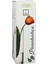Elite 43767 Vazo Silindir 26CM 1 Adet 3
