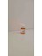 Toros Nanesi 20 ml 3