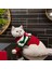 Kedi ve Köpek Için Noel Babalı ve Çizgili Yeni Yıl Kazağı 4