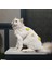 Kedi ve Köpek Için Papatyalı Beyaz Kazak 4