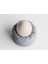 Elite Egg Stone Yumurtalık 1 Adet 2