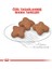 Mini Adult +8 Yaş Yaşlı Köpek Maması 2 Kg 5