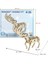 Ahşap Maket Puzzle Oyuncaklar Anaokulu Aktiviteleri Mini El Yapımı 3D Üç Boyutlu Puzzle (Yurt Dışından) 1