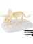 Eğitici Dinozor Duyusal Kitleri Triceratops (Yurt Dışından) 3