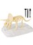 Eğitici Dinozor Duyusal Kitleri Triceratops (Yurt Dışından) 4