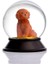 Cam ve Reçine Altın Patiler Köpek Toy Poodle (Tarçın) Kar Küresi Hediye 2