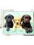 - 1000 Parça Hq Collection Yetişkin Puzzle - Three Labs 3