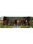 2690 Farm World Çiftlik Hayvanları Oyun Seti.glpzr 3
