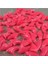Yeni Moda Düz Renk 100PCS/LOT Kedi Tırnak Kapakları Cat Yumuşak Pençe Kedi Pençeleri 5*yapışkan Tutkal 4 Kedi Boyutu Renk: Pembe/boyut: Xs (Yurt Dışından) 1