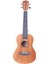 Concert Maun Ağacı Ukulele Kılıf Pena Dahil Kod 0361 3