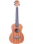 Tenor Maun Ağacı Ukulele Kılıf Pena Dahil Kod 0345 3