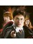 Ravensburger Harry Potter Hafıza Oyunu 206483 3