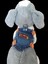 Köpek Göğüs Tasması Minik Irk Kot Cepli Göğüs ÖLÇÜSÜ:20-35CM Ayarlamalı 1-5kg Dog Harness Gt2-38 6