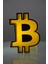 Bitcoin Tasarımlı Dekoratif Aydınlatma 16X21CM 1