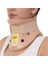 Philadelphia Boyunluk Phıladelphıa Classıcal Collar 3