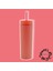 Çift Katmanlı Pipetli Sızdırmaz Kapak Bardak Matara 480 ml Pembe 1