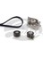 Devirdaimli Eksantrik Gergi Kiti 118X254 Peugeot 407-607 C5 C6 C8 2.2hdi 06 S-Max Mondeo 2.2tdci Dpmah 1