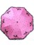 Zehraa Kadın Uv Korumalı Şemsiye - Pembe (Yurt Dışından) 2