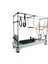 Platinium Combo Cadillac Reformer 1