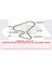 5598XS 137X25 (Peugeot 206 - Peugeot 206 cc - Peugeot 207 - Peugeot 307 ) Gnzrz 1