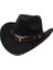 Klasik Kovboy Şapkası (Yurt Dışından) 1
