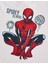2'li Spider-Man™ Mayo Takımı (2-8 Yaş) 3