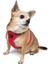 Air-mesh Harness Köpek Göğüs Tasması Parlak Kırmızı 6