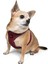 Air-mesh Harness Köpek Göğüs Tasması Bordo 6
