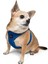 Air-mesh Harness Köpek Göğüs Tasması Lacivert 6